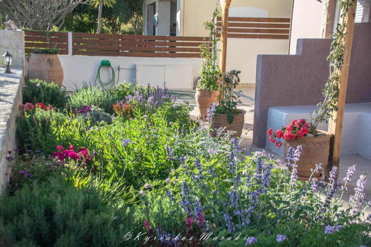 La Casa Del Vitsi Apartment Palaiochora Bagian luar foto