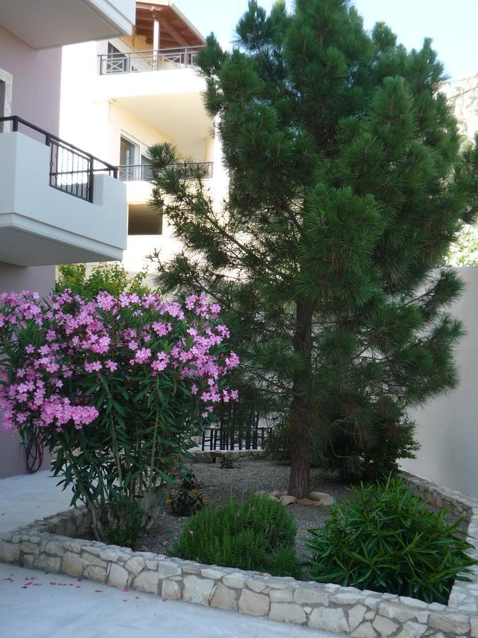 La Casa Del Vitsi Apartment Palaiochora Bagian luar foto